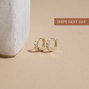 https://i.etsystatic.com/10204022/r/il/622842/2522036148/il_fullxfull.2522036148_e7ku.jpg