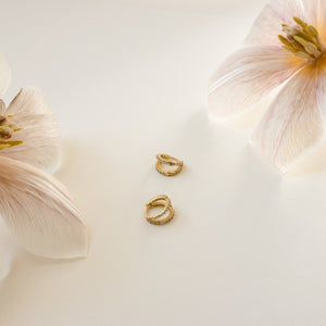 https://i.etsystatic.com/10204022/r/il/4ae8b9/3110782830/il_fullxfull.3110782830_2kg4.jpg