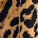 https://img.ltwebstatic.com/images3_pi/2024/08/01/0f/1722507725eeabecbdb9c9919f4a5348fa3de3e2a2.jpg