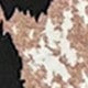 https://img.ltwebstatic.com/images3_pi/2024/11/20/da/173207324380d07182c6ddf322ddbf792d68f0eda3.jpg