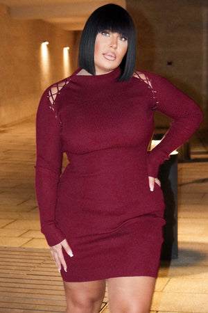 https://cdn.shopify.com/s/files/1/0293/9277/products/ArieSweaterMiniDress-Burgundy_MER_PLUS_2.jpg?v=1660333540